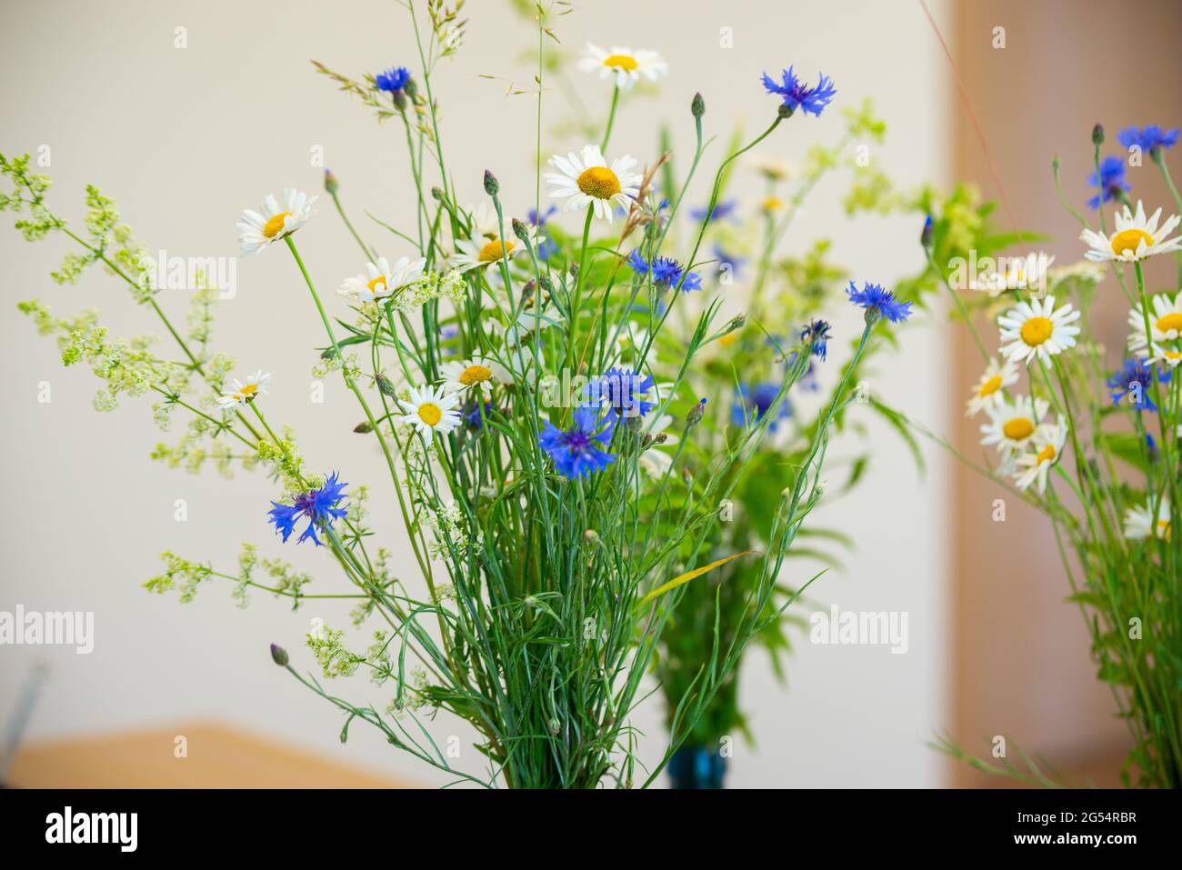 Summer flowers in a vase. White daisies and blue cornflowers in a vase. Midsummer flowers Stock