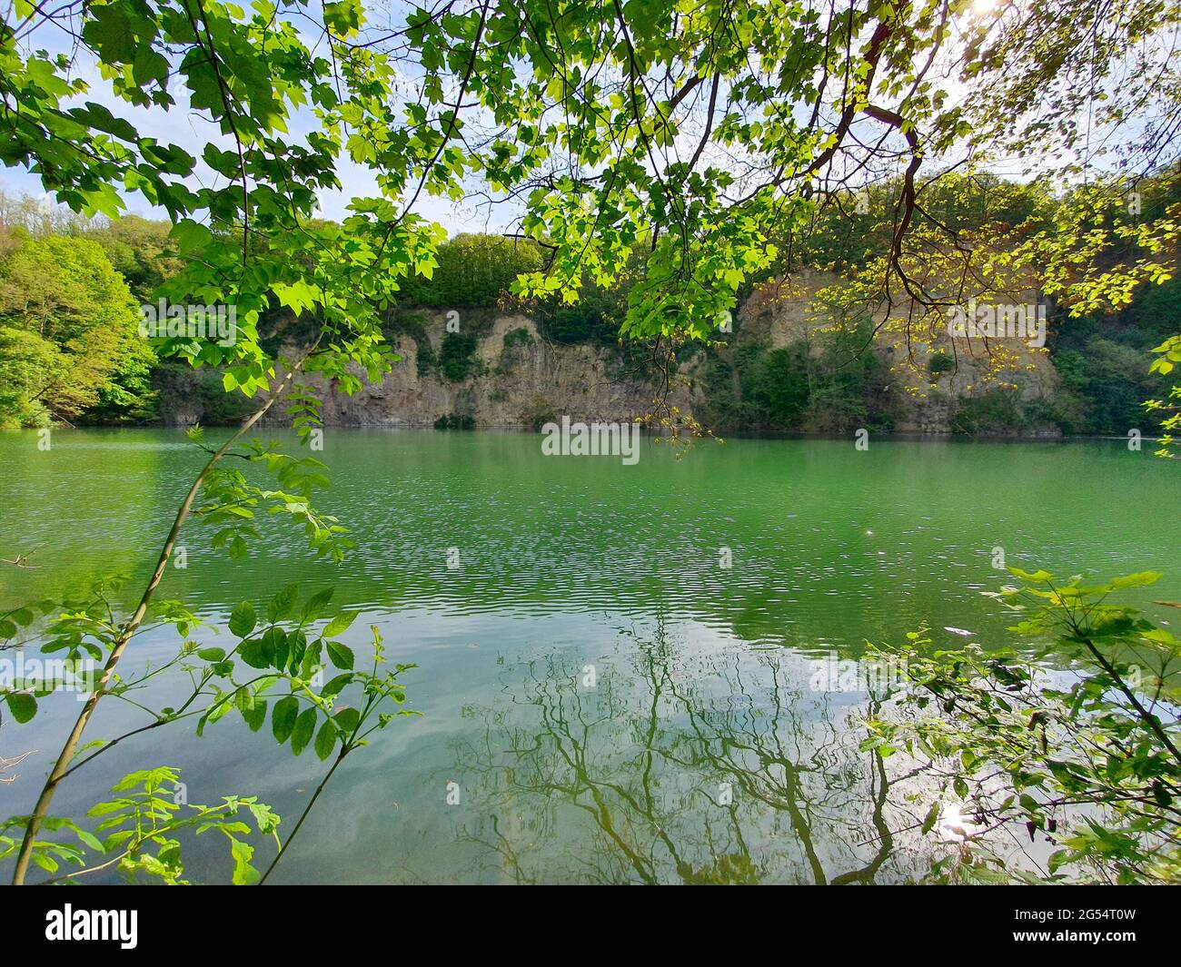 Green forest and lake hi-res stock photography and images - Alamy