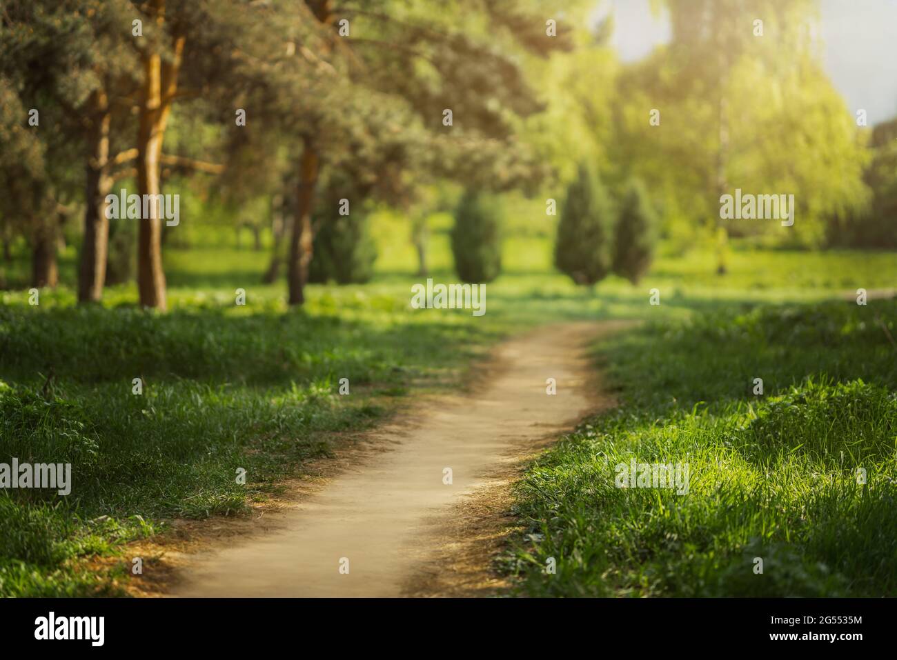 The beautiful summer plant park hi-res stock photography and images - Alamy