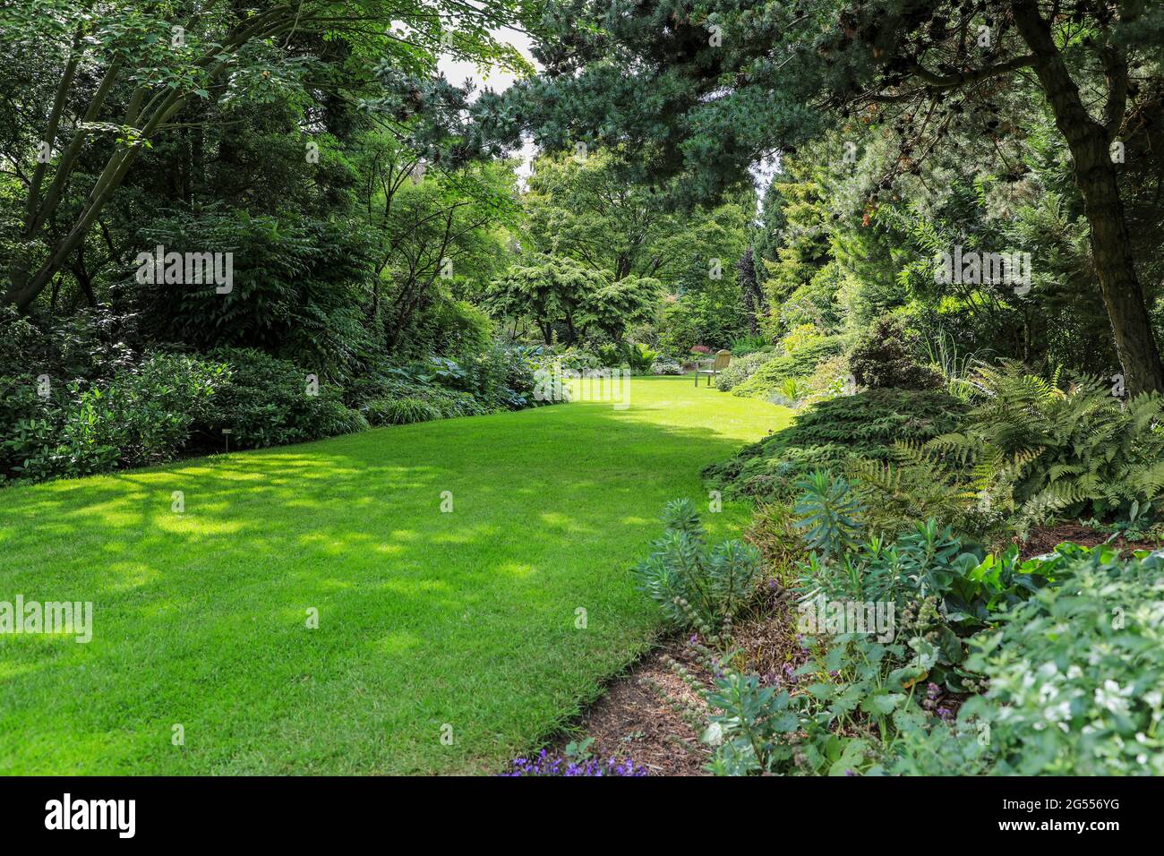 Bressingham Steam & Bressingham Gardens, a steam museum and gardens ...