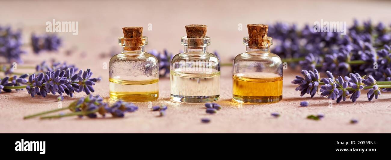 Essential oil bottles with fresh blooming lavender twigs on pink pastel ...