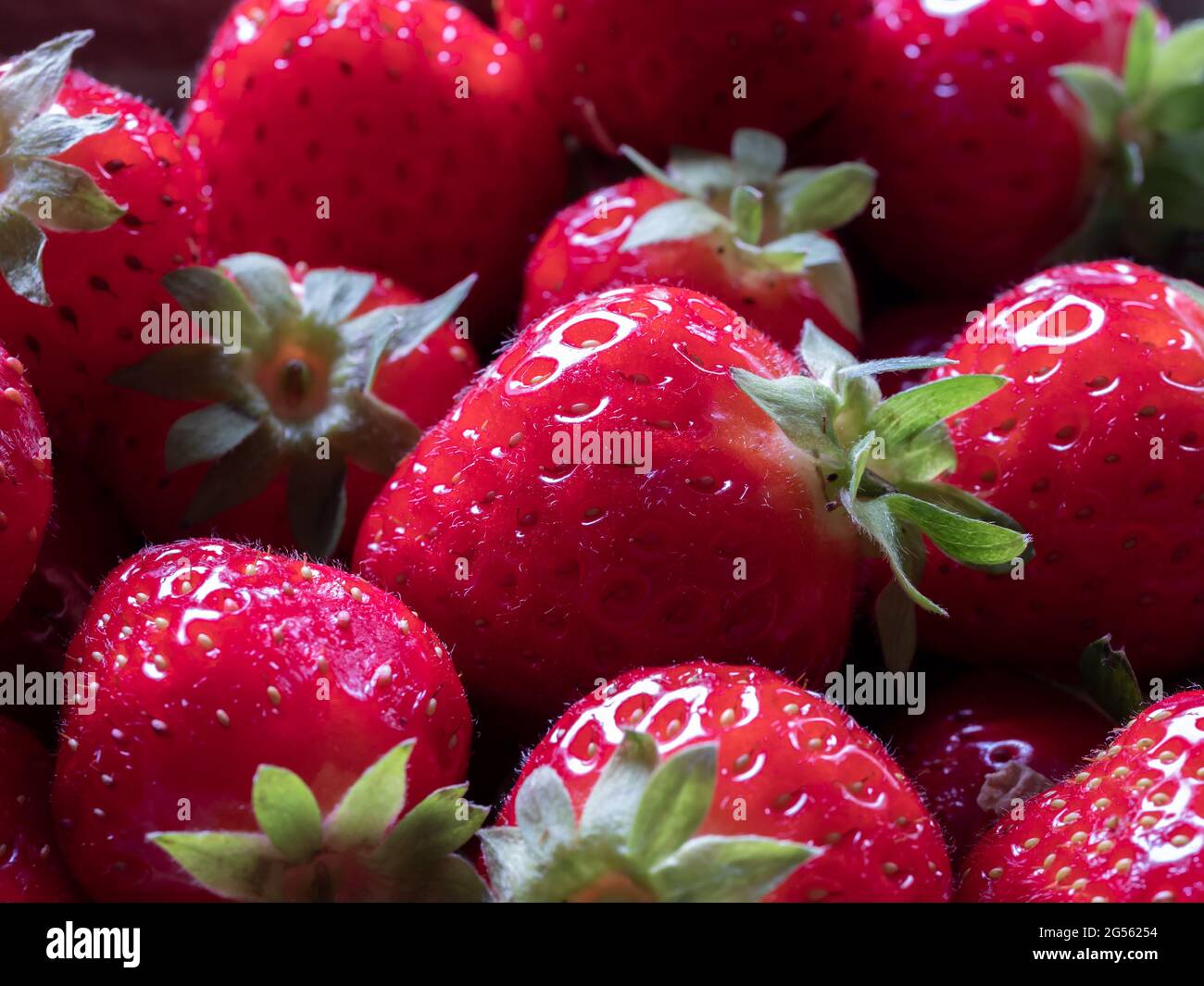Close-up of Freshly Harvested Strawberries Stock Photo