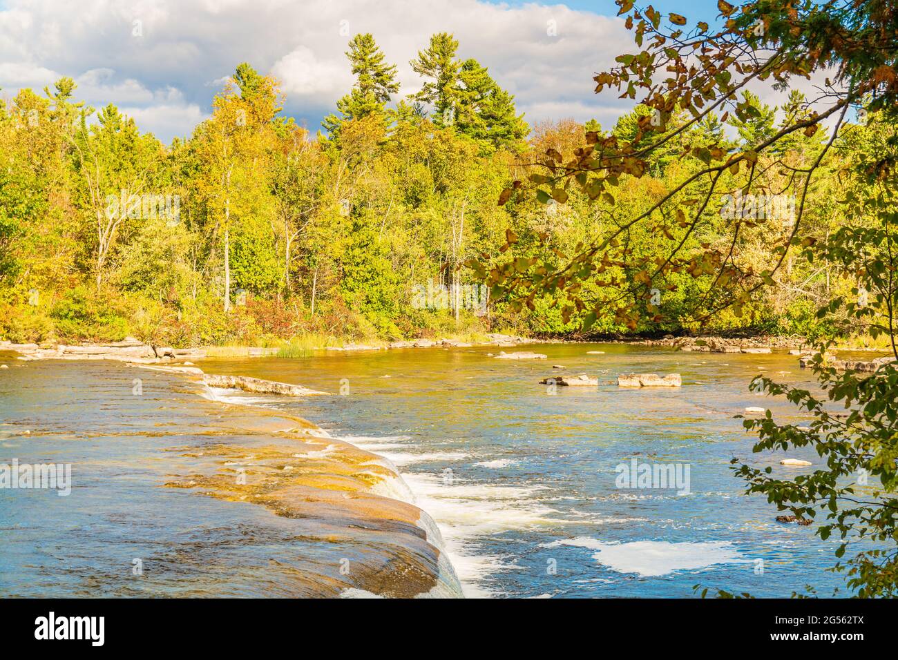 Callagham's Rapids Conservation Area during Autumn Stock Photo - Alamy