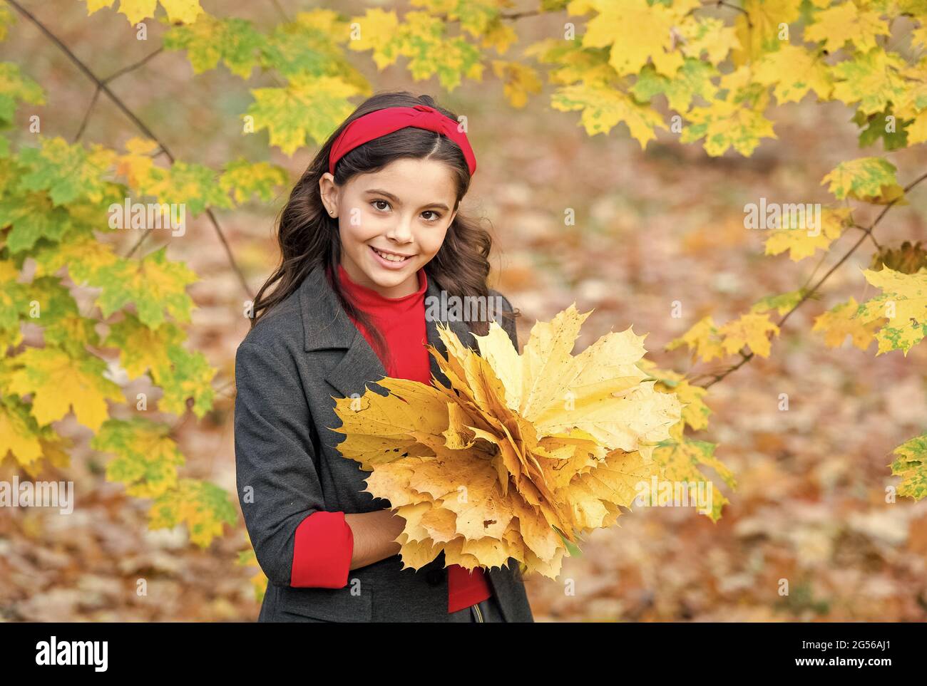 happy girl handful of yellow maple leaves in park, autumn nature Stock ...