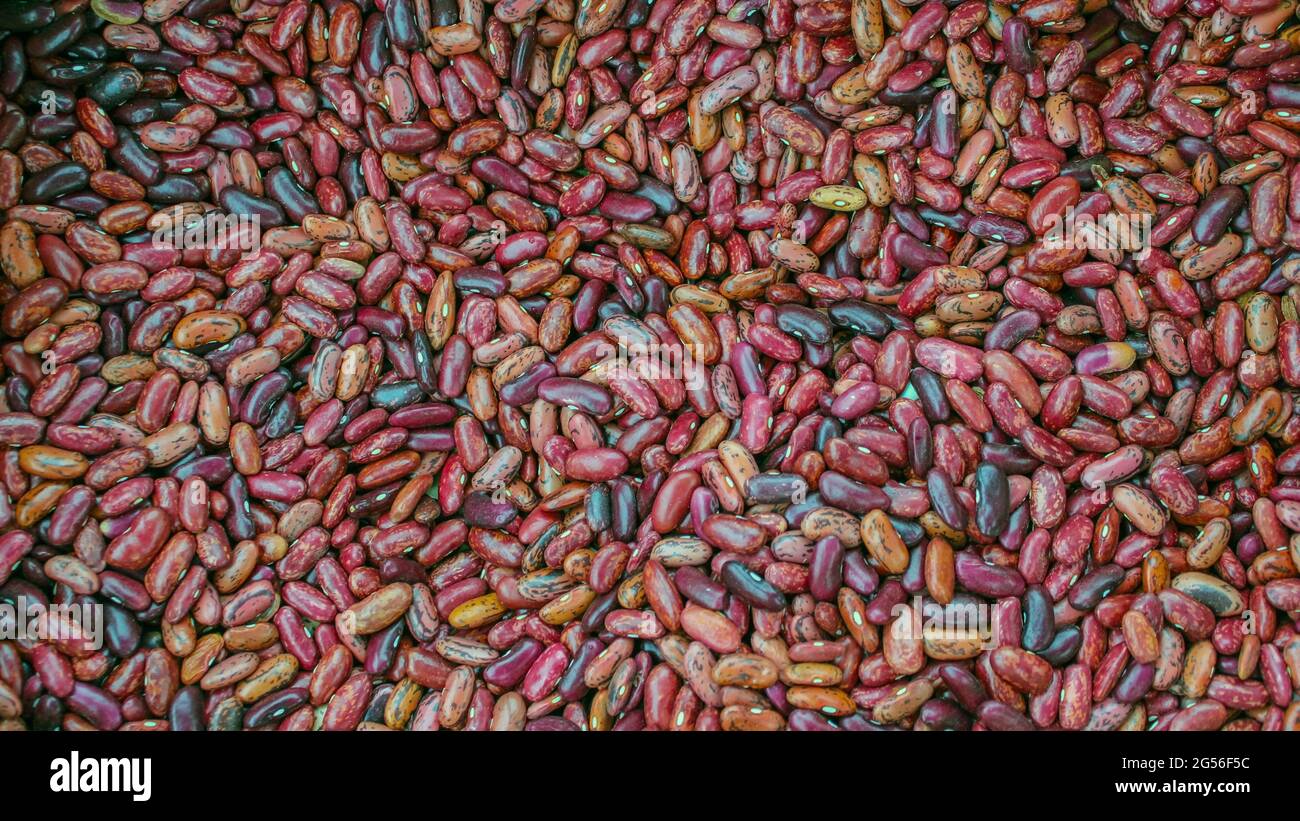 Multicolored beans background, many colorful dry beans, top view. Whole