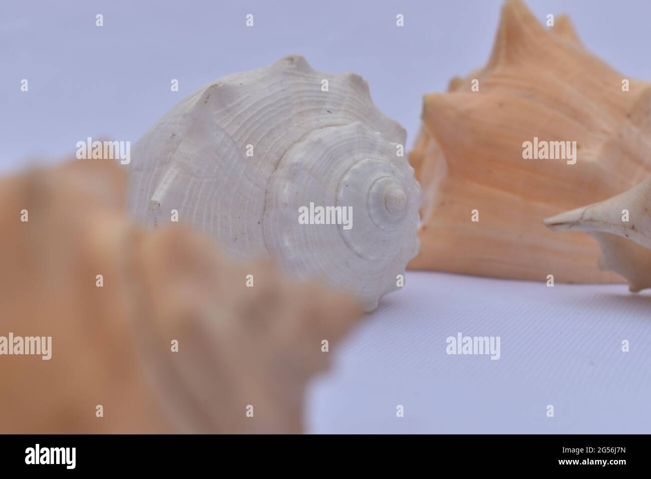 Closeup shot white beach hi-res stock photography and images - Alamy