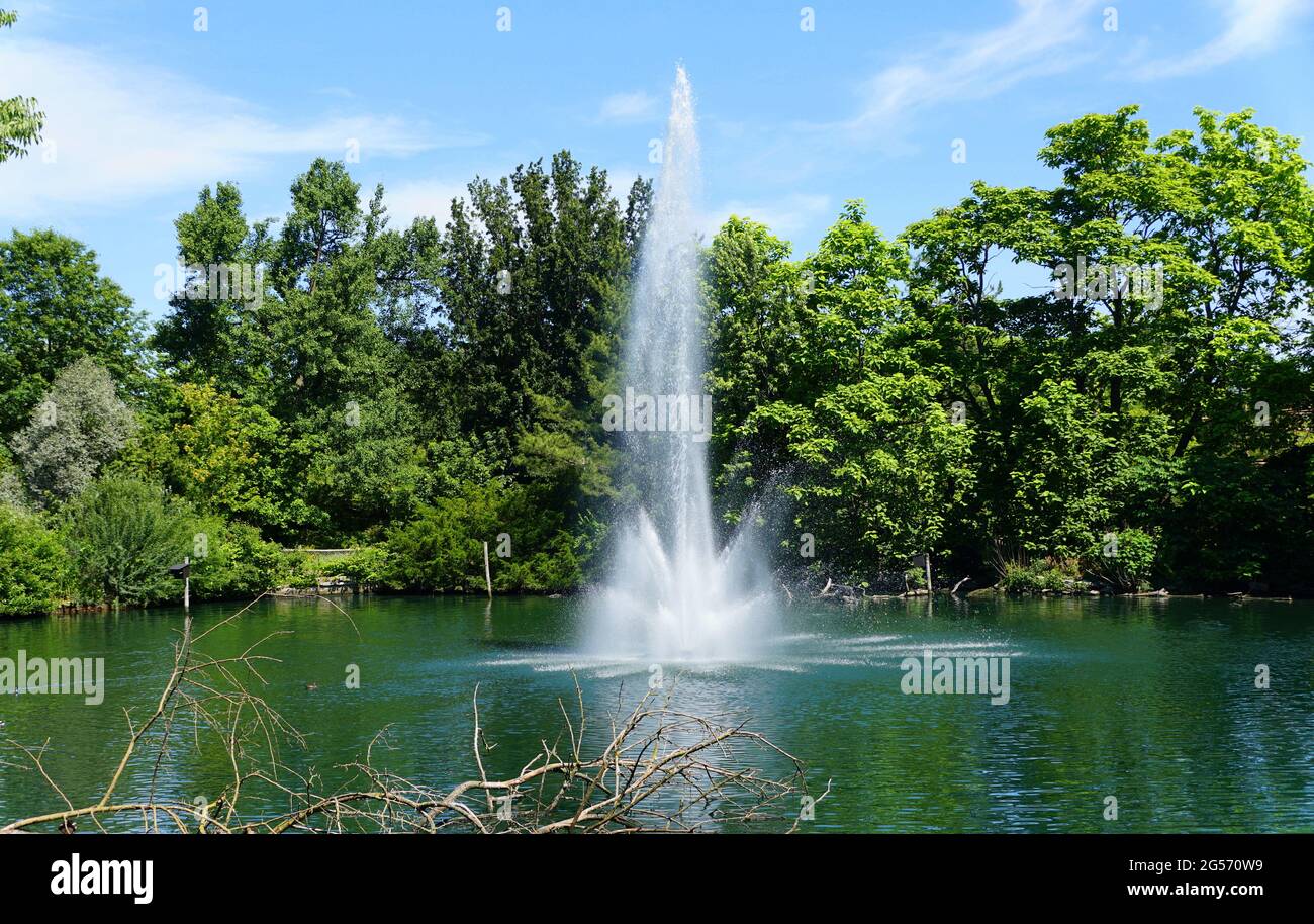 A large water fountain at a lake near Cincinnati Zoo, Ohio, U.S.A Stock Photo