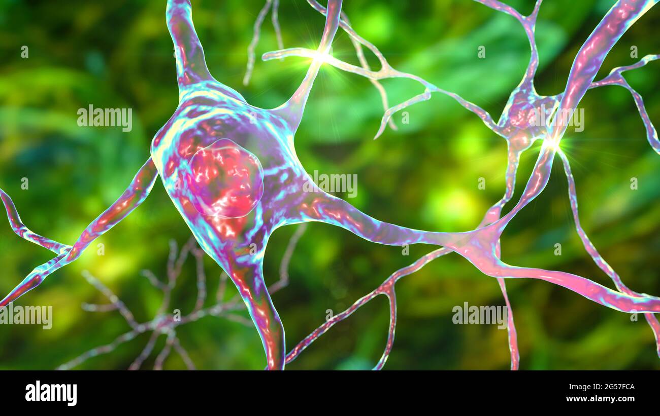 Brain neuron, illustration Stock Photo