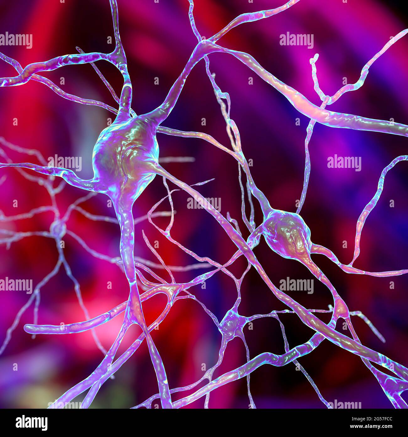 Brain neuron, illustration Stock Photo