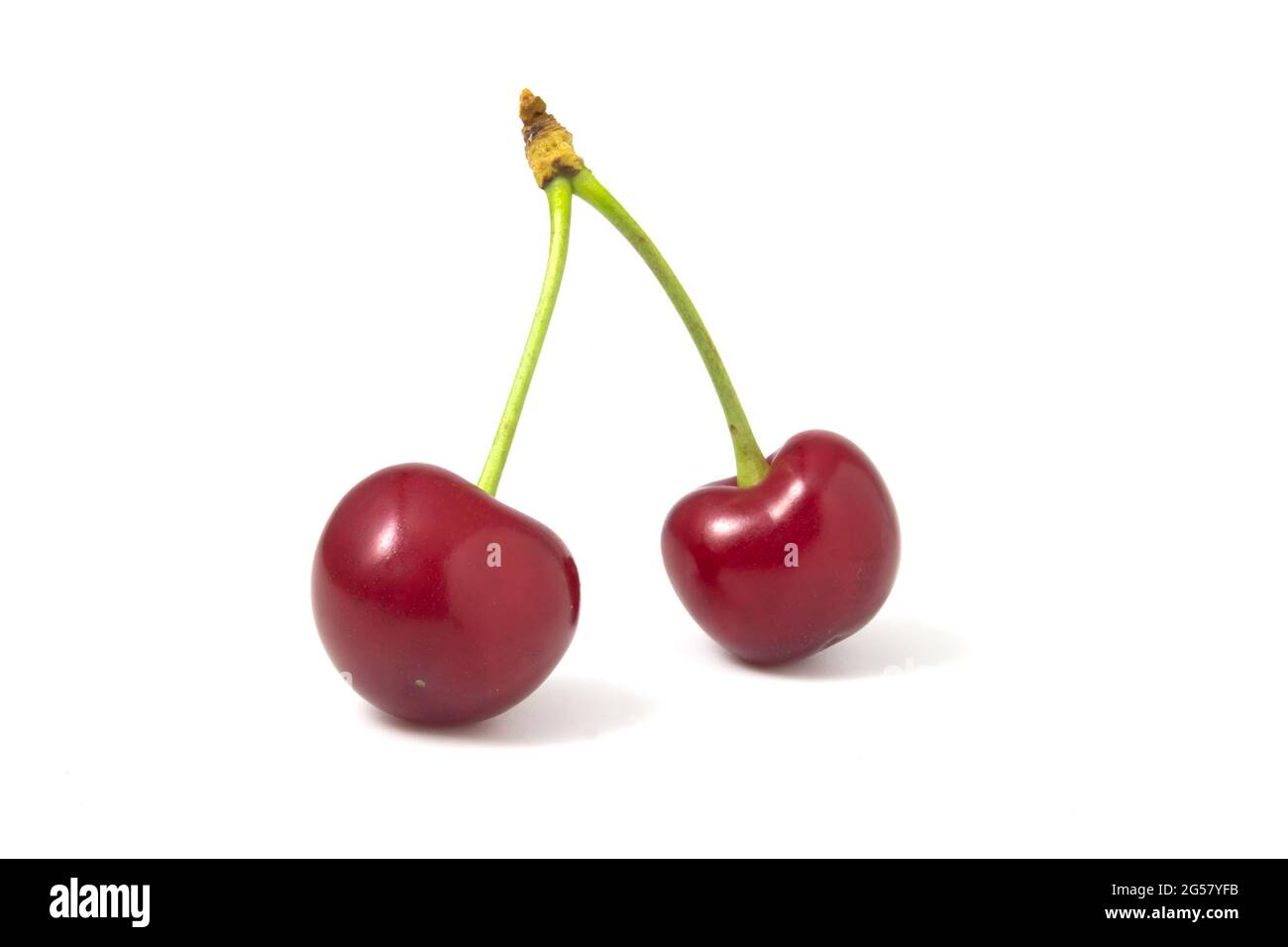 Two isolated red cherries on a white background Stock Photo