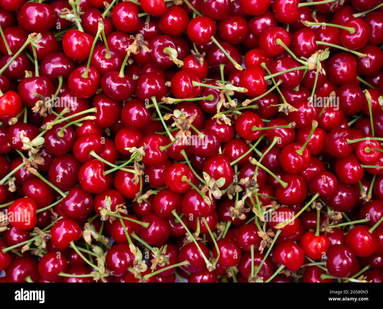 Background of evenly spread cherries. Top view on fresh red berries Stock Photo