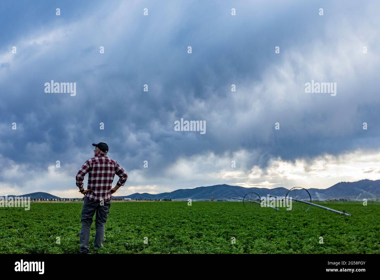 Rear view of farmer standing in field under storm clouds Stock Photo