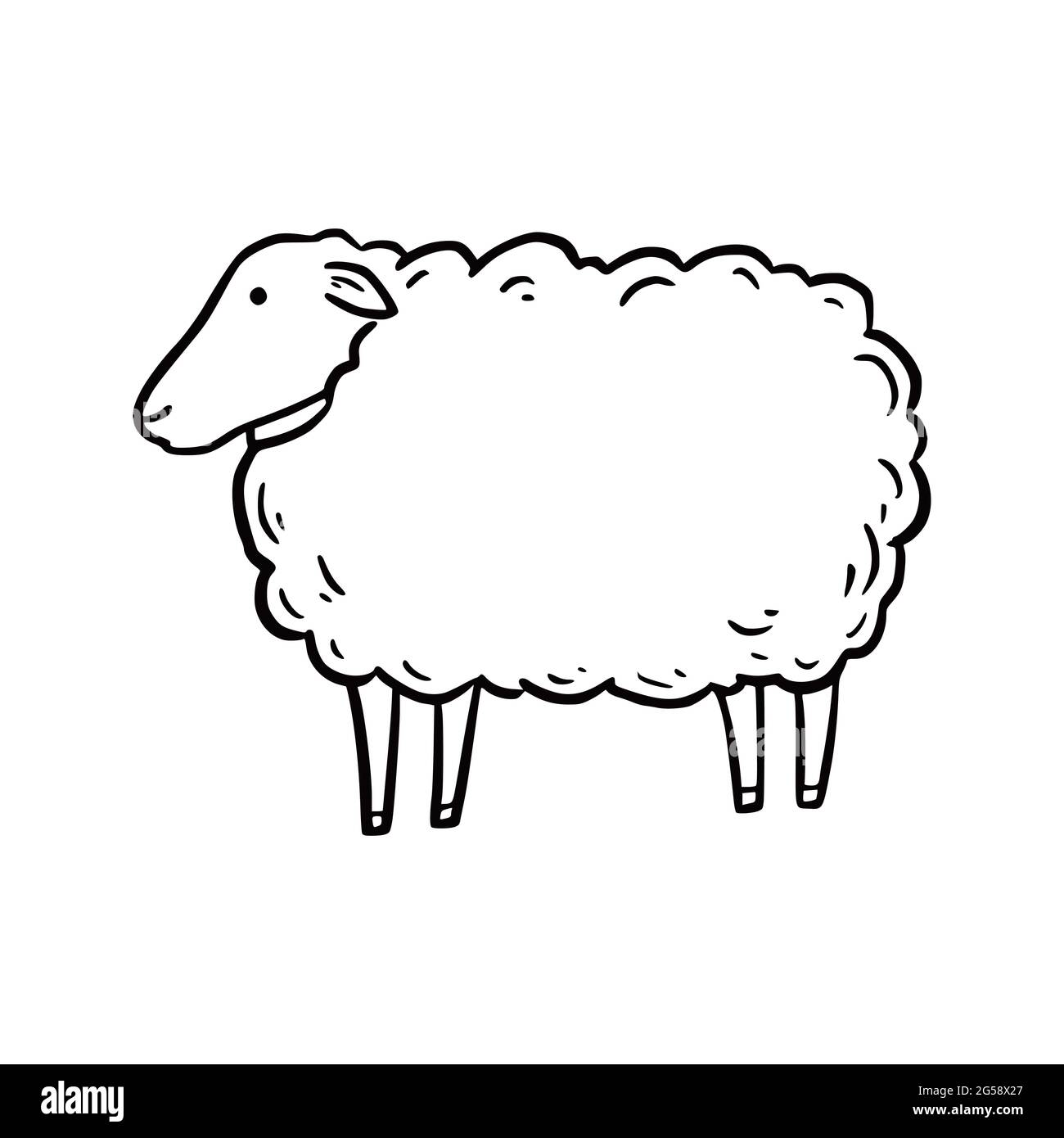 Hand drawn sheep. Doodle sketch style. Drawing line simple sheep icon