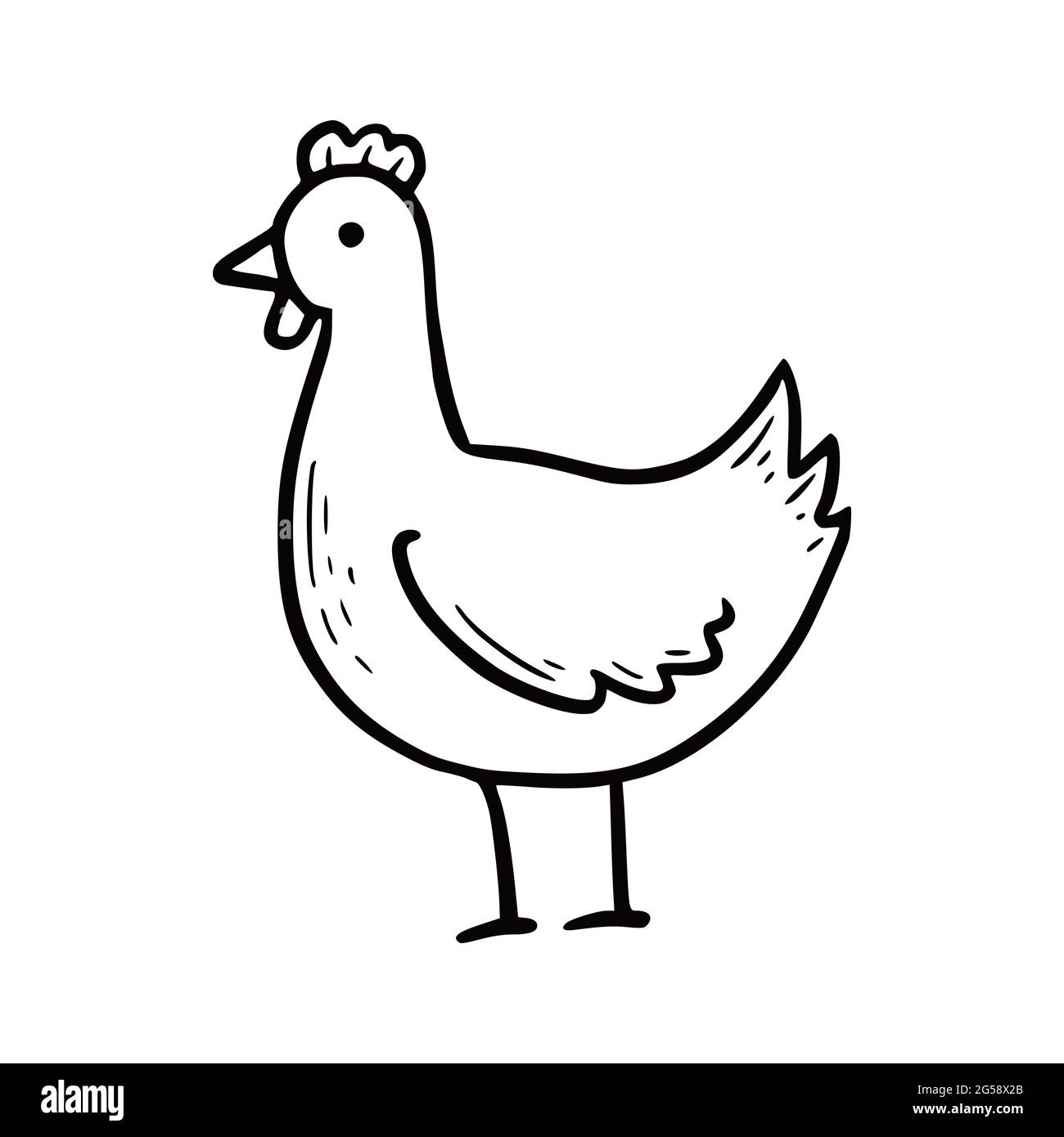 hand drawn farm chicken doodle sketch style drawing line simple chicken icon isolated vector illustration 2G58X2B