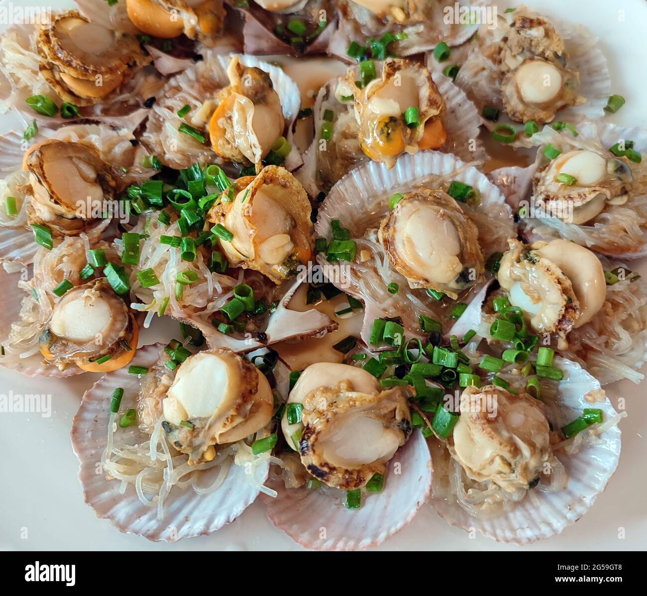 fresh steamed scallop meat on the shell in the plate ready for eating