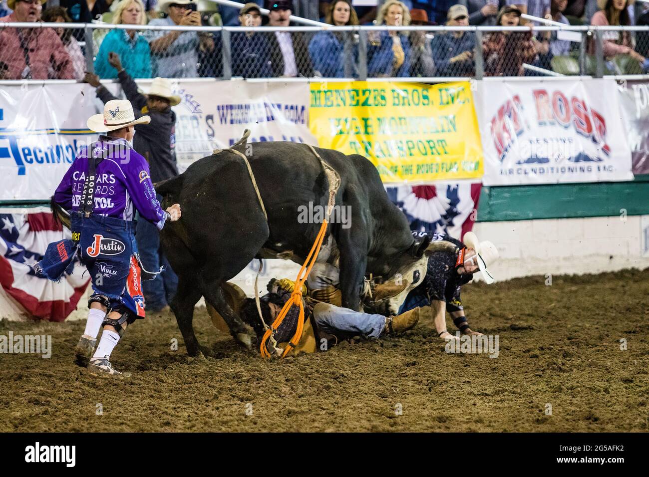 Reno, USA. 24th June, 2021. Bullfighter tries to distract Kahiko to help protect the Jesse Flores and his fellow bullfighters during the bull riding event. Day 8 of the 102nd Reno Rodeo brought rain and mud to the competition. Credit: SOPA Images Limited/Alamy Live News Stock Photo