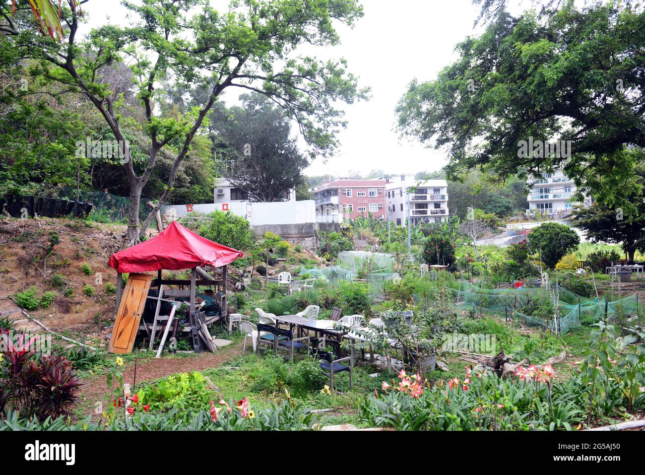 The Tai Peng Community Garden On Lamma Island In Hong Kong Stock Photo