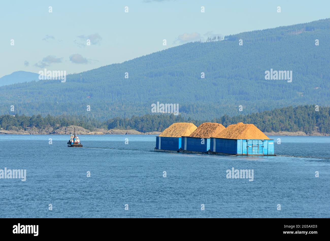 Three barges filled with load of wood chips towed by tug boat Stock Photo