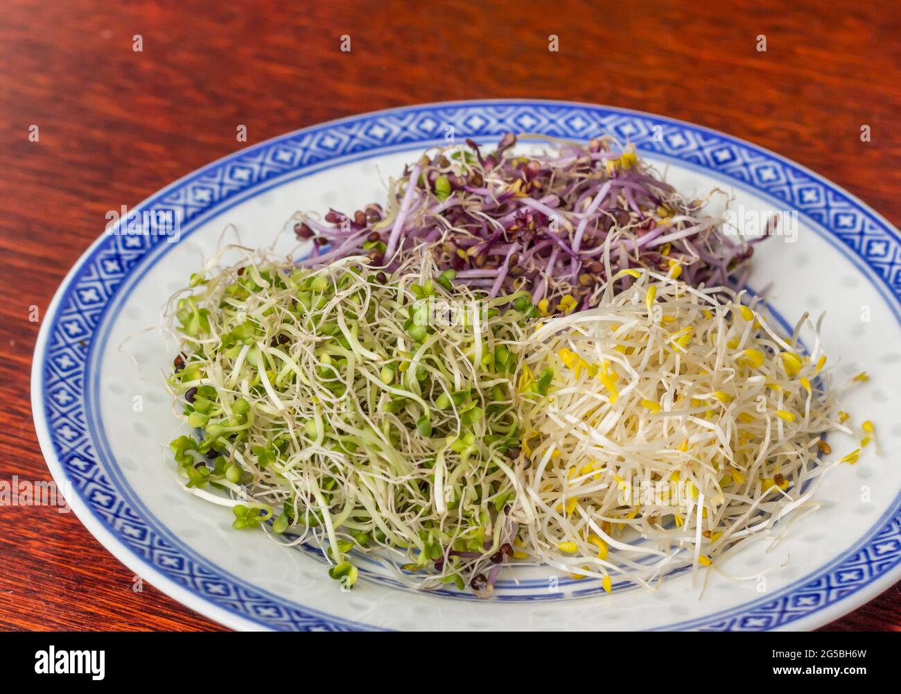 Three colors alfalfa served on a chinese plate Stock Photo Alamy