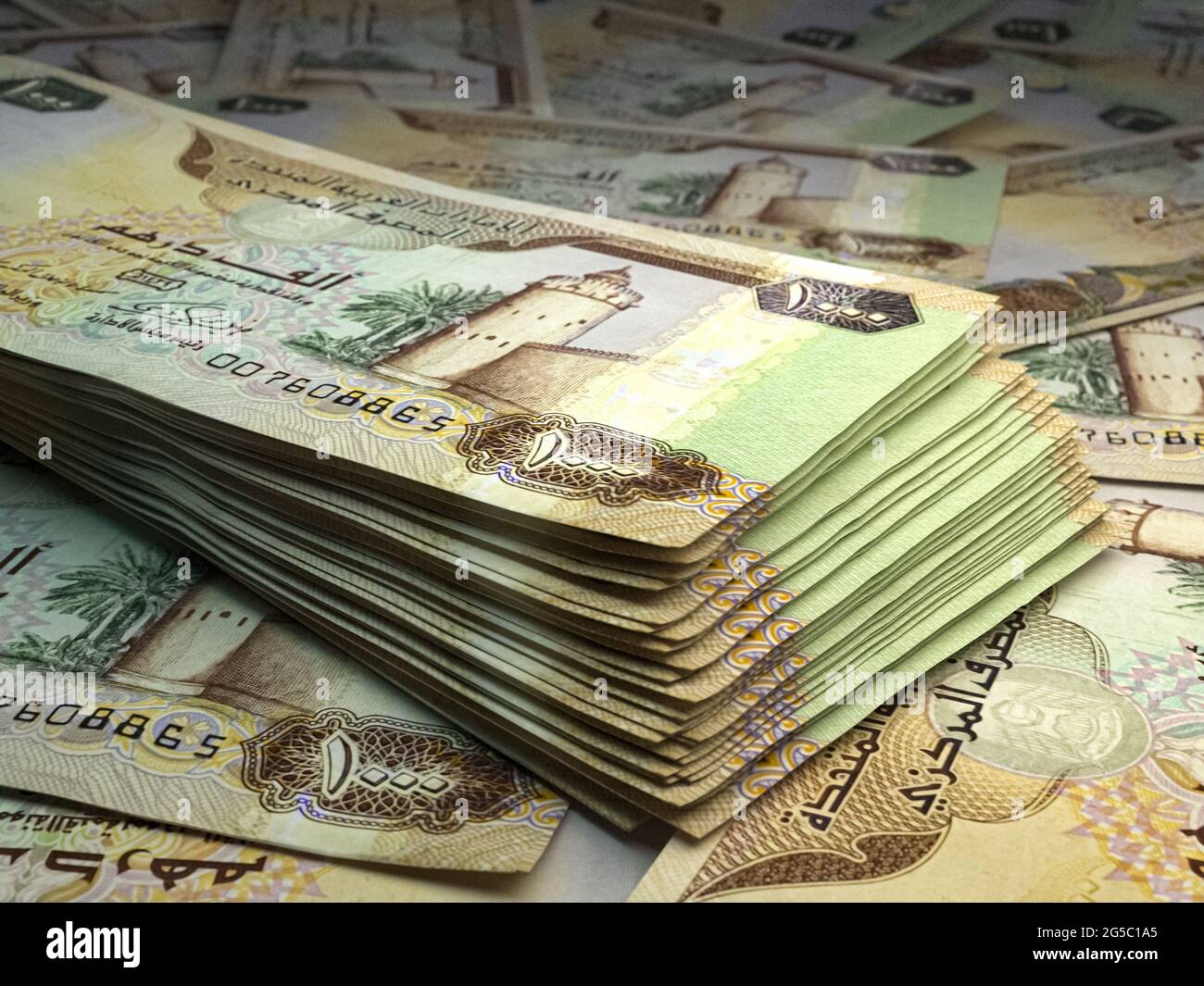 Money of United Arab Emirates. United Arab Emirates dirham bills