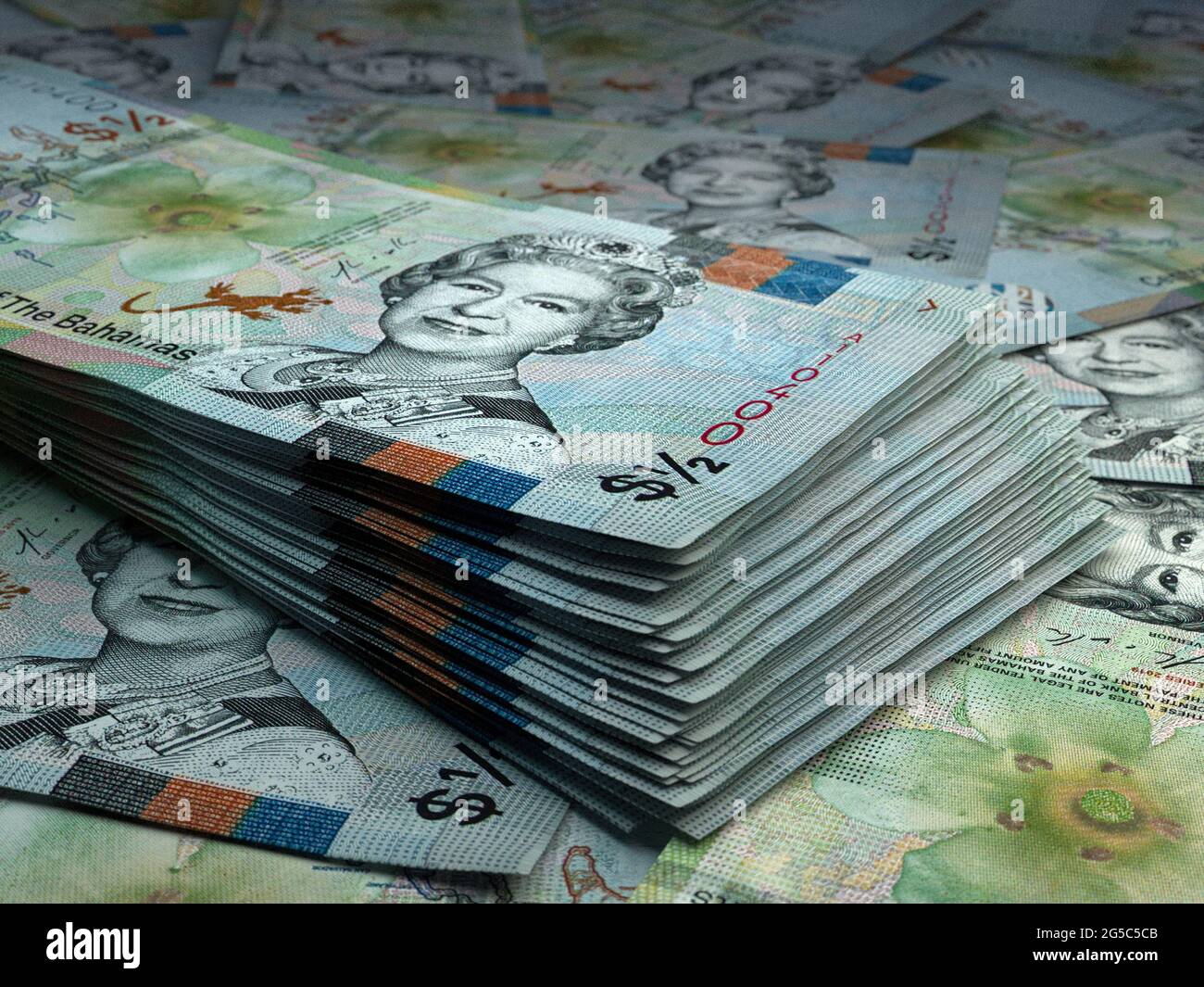 Money of Bahamas. Bahamas dollar bills. BSD banknotes. 05 dollars