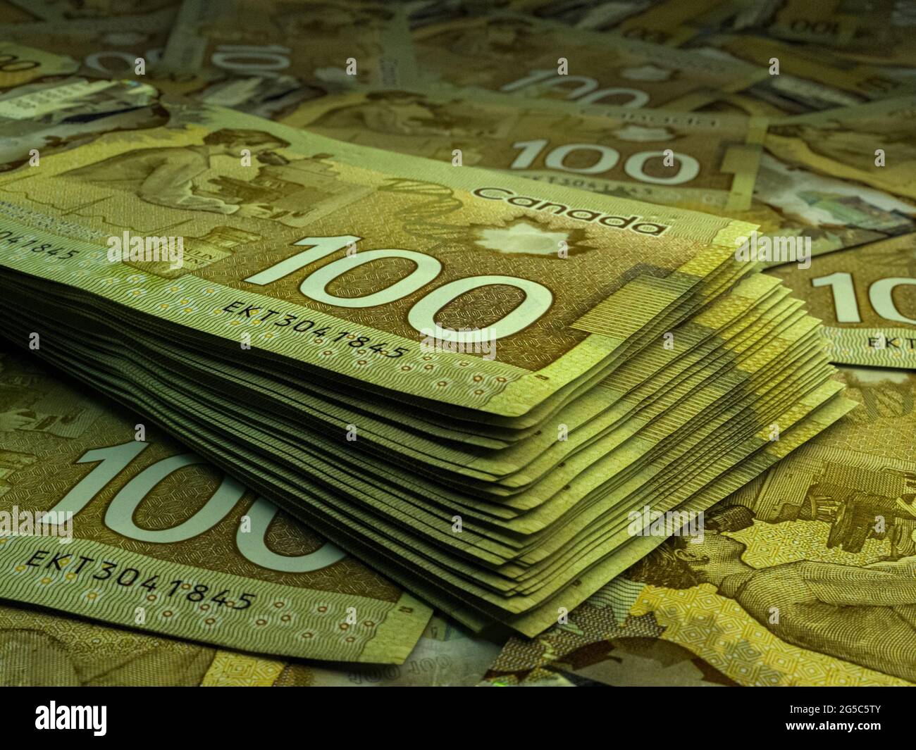 Money Of Canada Canadian Dollar Bills CAD Banknotes 100 Dollars 1000-canadian-dollars-birds-of-canada-exchange-yours-today