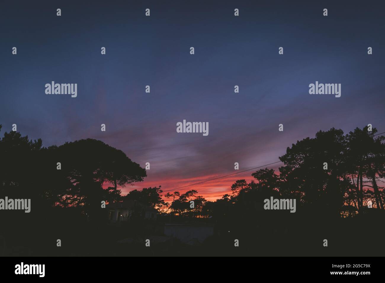 Silhouette shot of trees on the field at a breathtaking sunset Stock ...