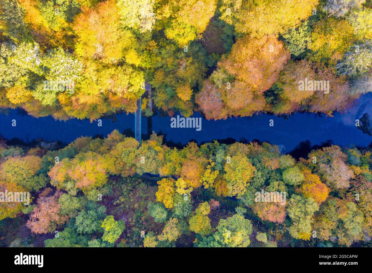 Looking down on autumn colours on trees surrounding River Garry at Garry Bridge near Killiecrankie, Perthshire, Scotland, UK Stock Photo