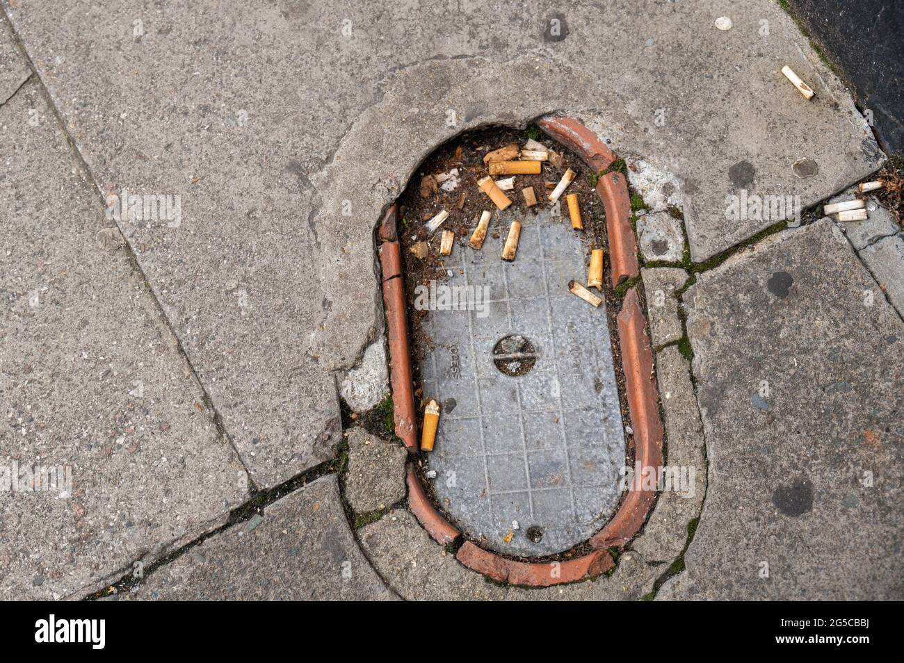 A cover inspection plate with lots of cigarette butts and roll up cigarette ends laying around on a broken pavement in the centre of Norwich Stock Photo