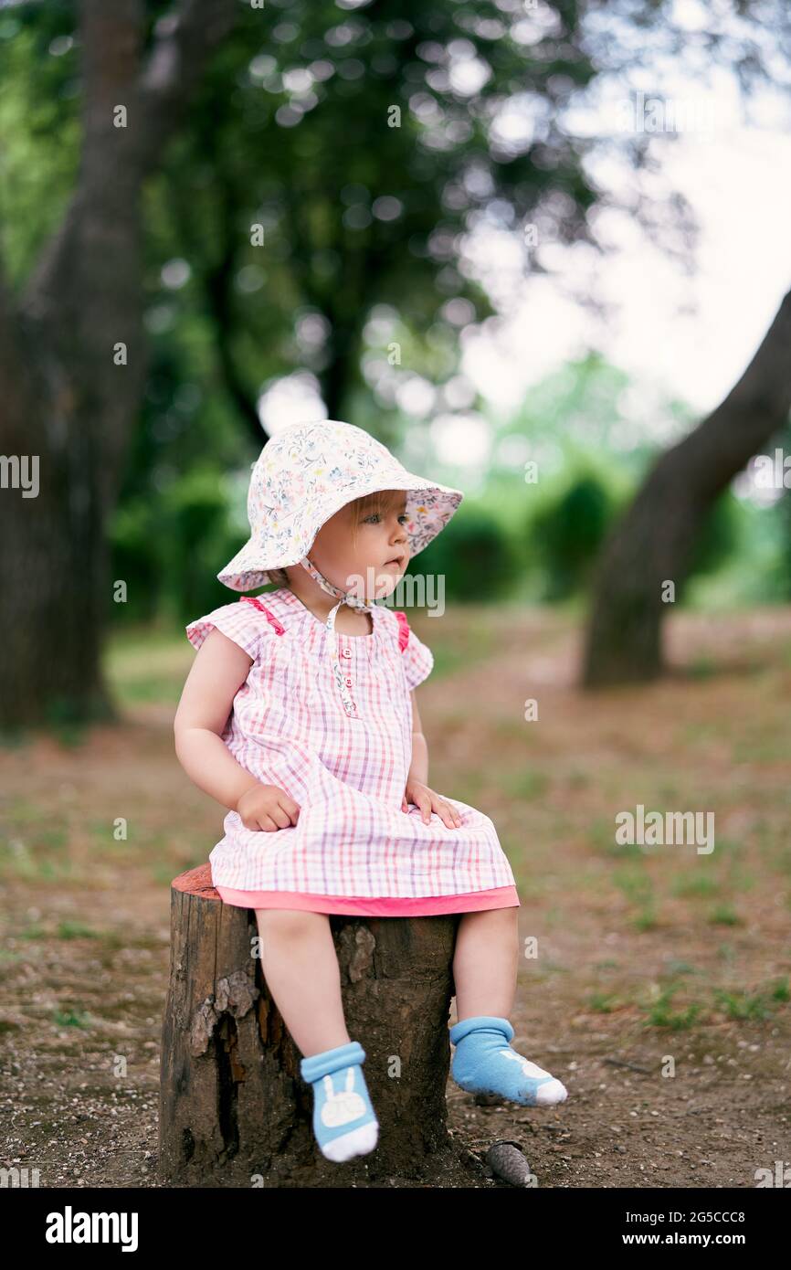 Little girl in a dress and hat sits on a tree stump and looks into the ...