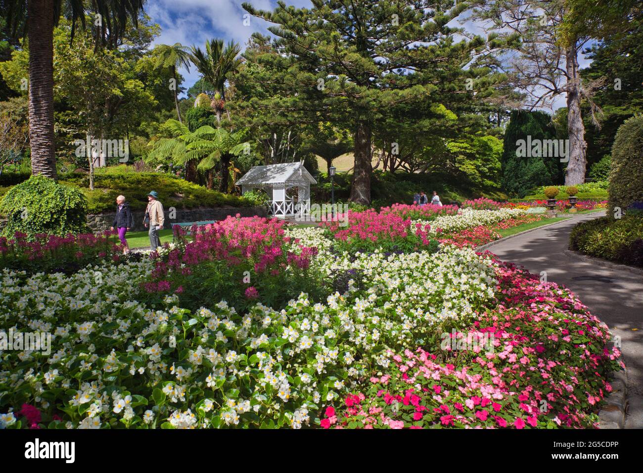 The Botanic Gardens, Wellington, North Island, New Zealand Stock Photo