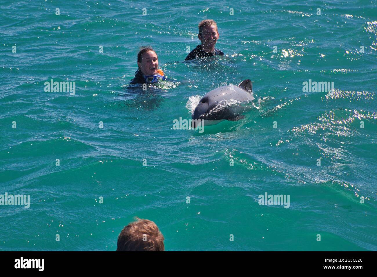 People swimming with a Hectors dolphin off the east coast of South Island, New Zealand Stock Photo