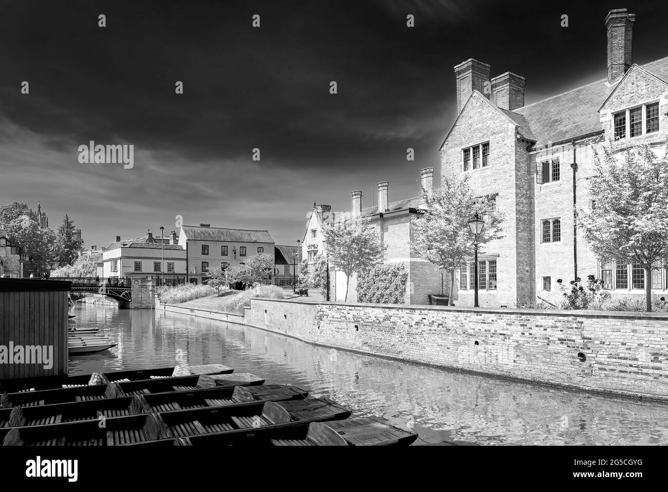Punts parked on the river Cam, opposite Magdalene college, Cambridge, England. Stock Photo