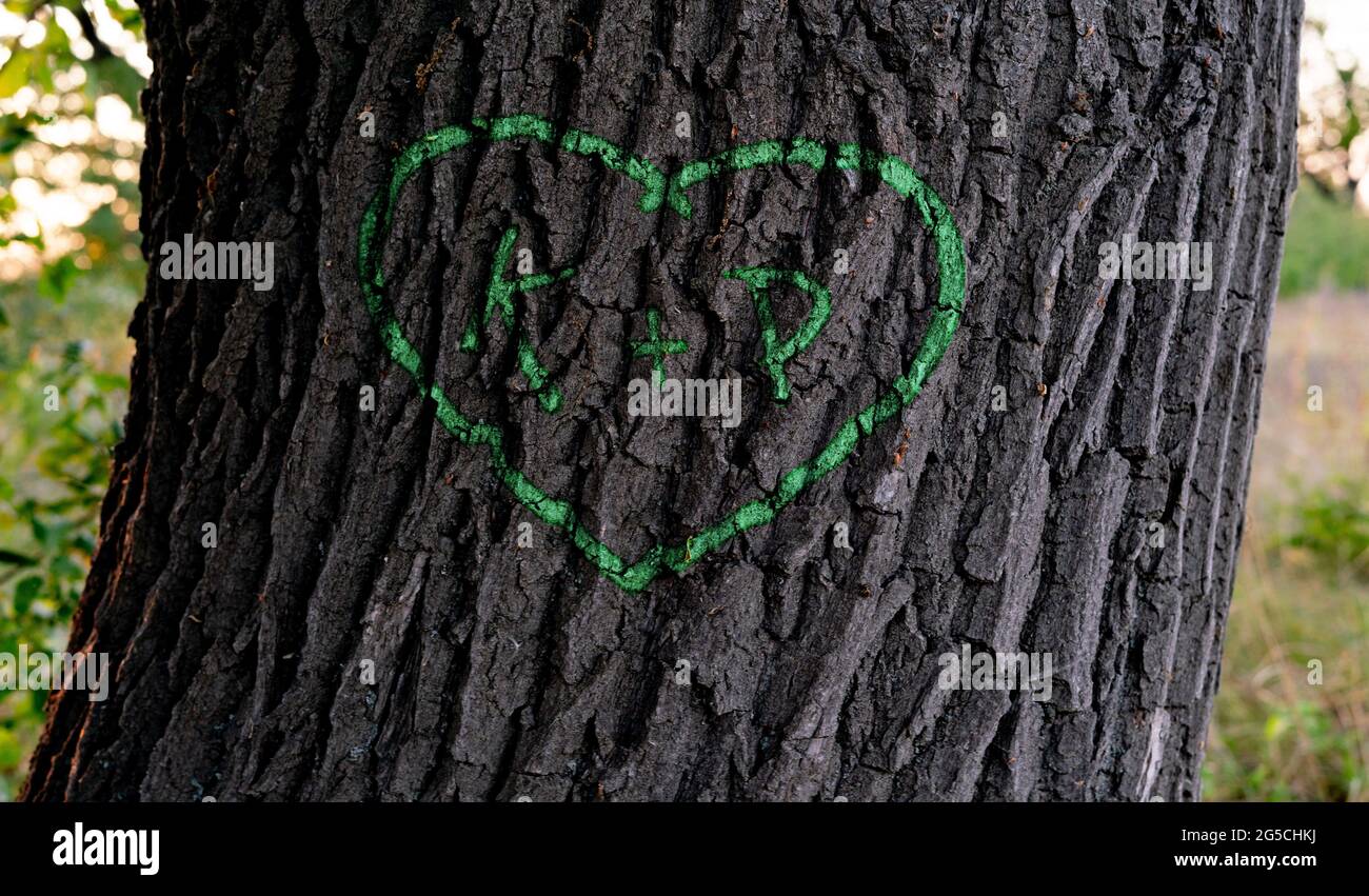 the names of peopel who love each other in the shape of heart carved on the tree Stock Photo