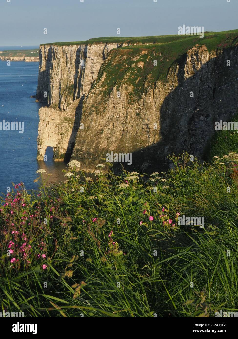 " SEASCAPE " , " BEMPTON CLIFFS Stock Photo - Alamy