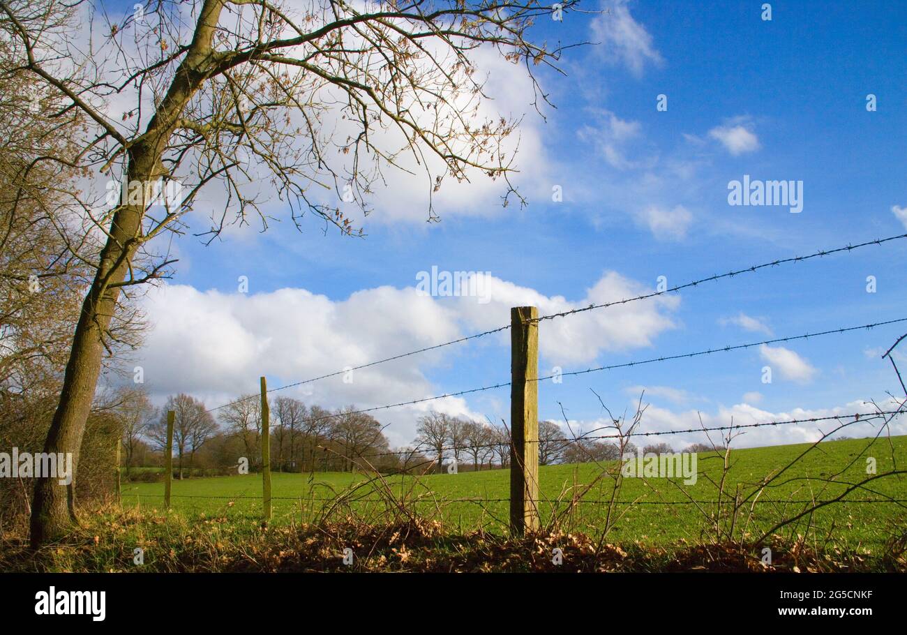 barbed wire fence at foyle farm east sussex Stock Photo