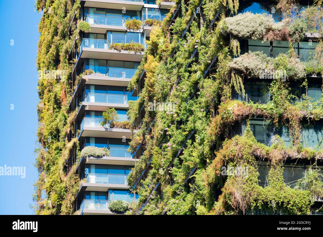 One Central Park, the Jean Nouvel designed apartment block in Sydney Australia is covered in Australian native plants that extend up from ground level Stock Photo