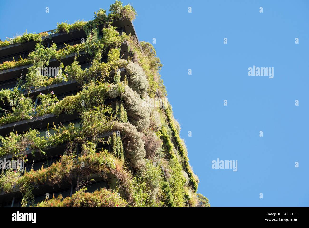 One Central Park, the Jean Nouvel designed apartment block in Sydney Australia is covered in Australian native plants that extend up from ground level Stock Photo