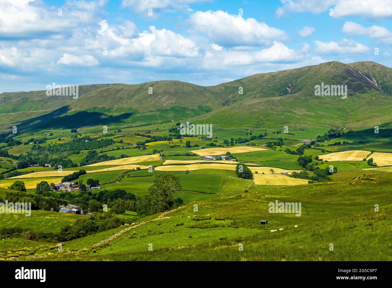 Some of the Howgill Fells seen from Firbank Fell in Cumbria on a sunny summer day in June Stock Photo