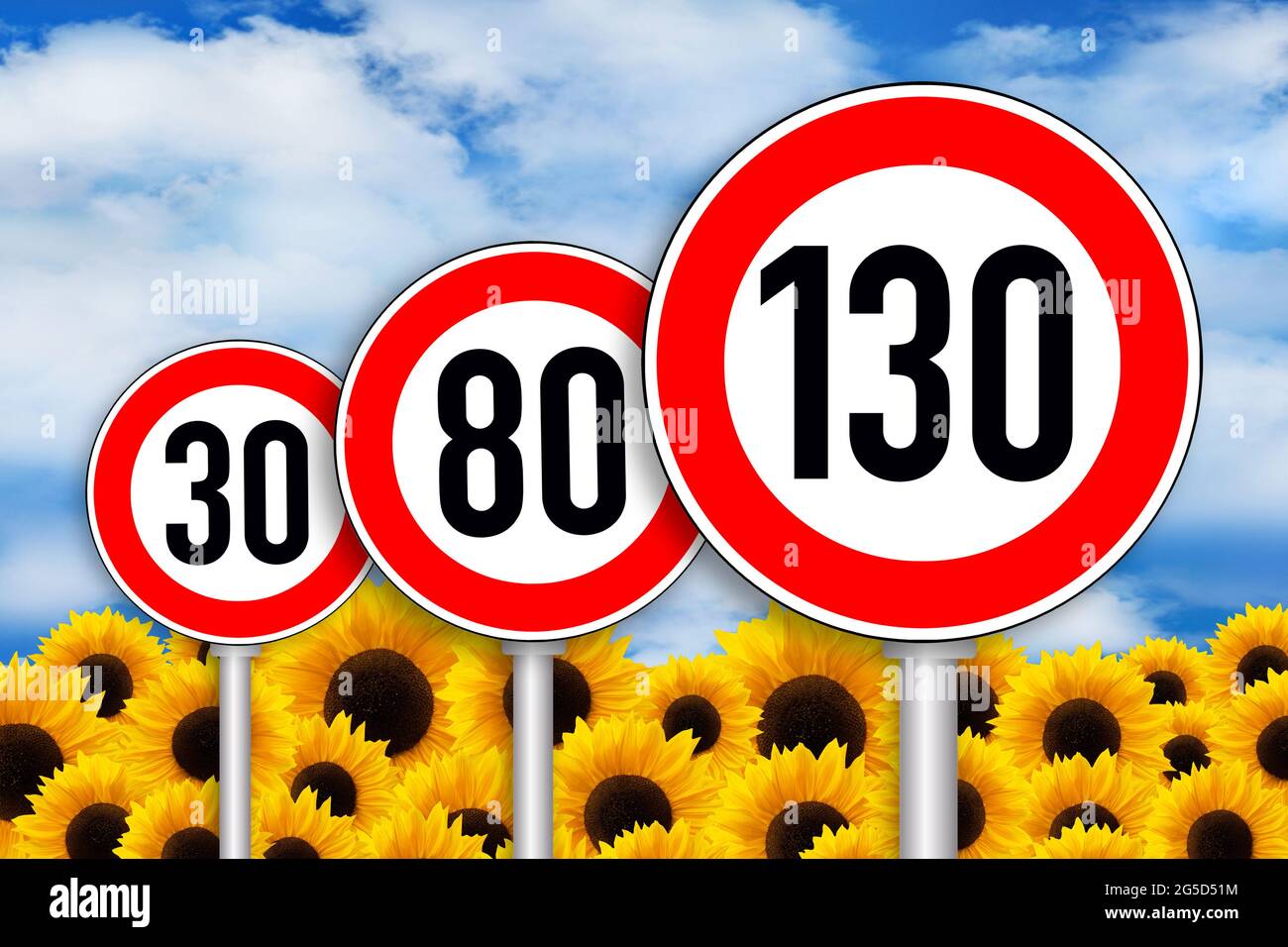 Sunflower and traffic signs speed limit 130 Stock Photo