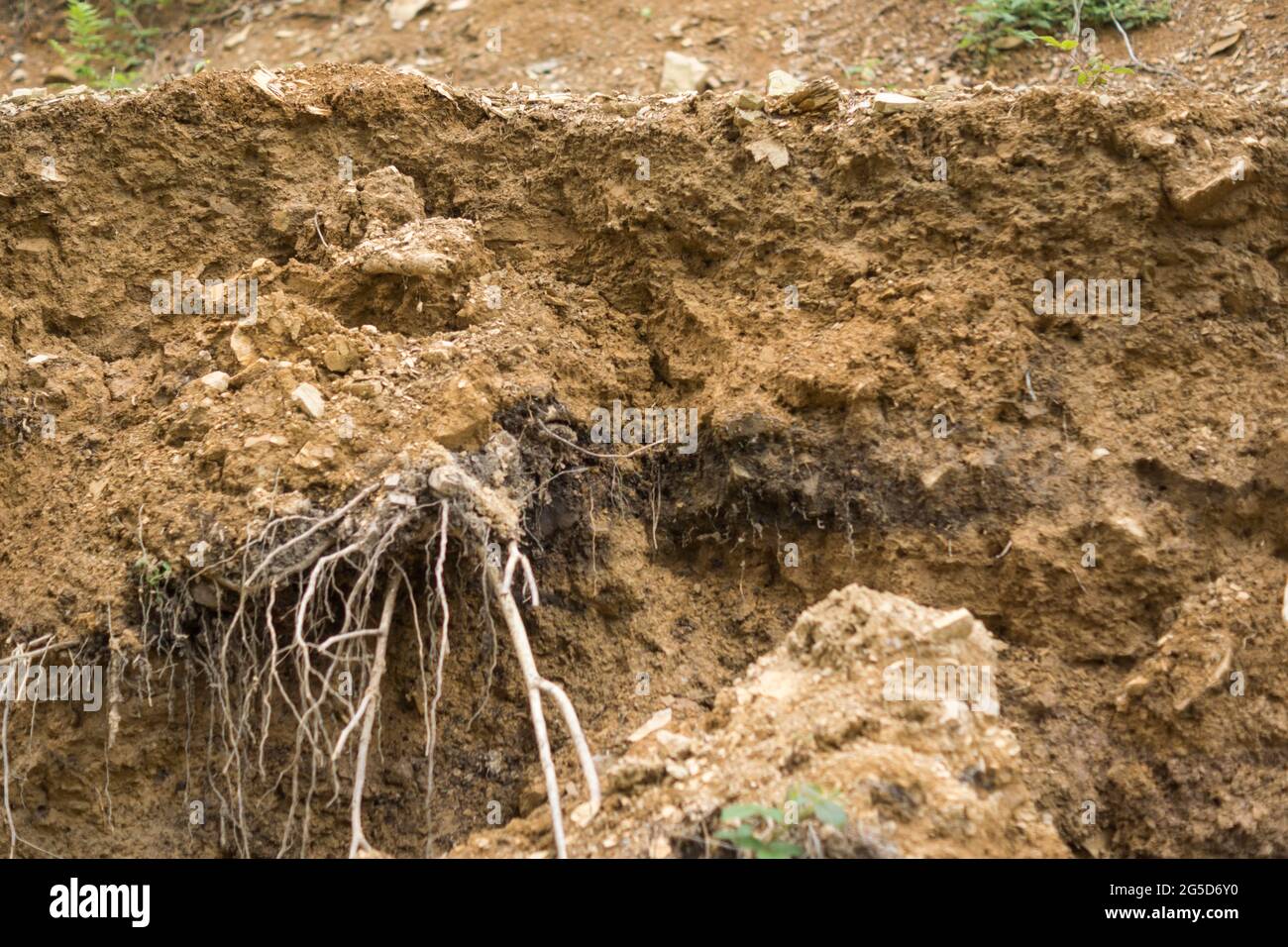 destroyed layers of lithosol soil with visible sediments on black layer ...