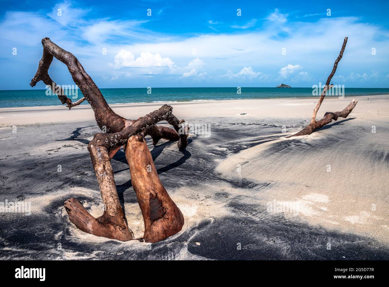 Beach scene with drift wood on the Santa Clara beach on the Pacific coast in Panama Stock Photo