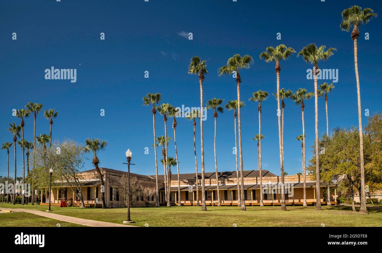 Sabal palms, Cavalry Building, former Fort Brown barracks, at Brownsville Campus of University of Texas Rio Grande Valley, in Brownsville, Texas, USA Stock Photo