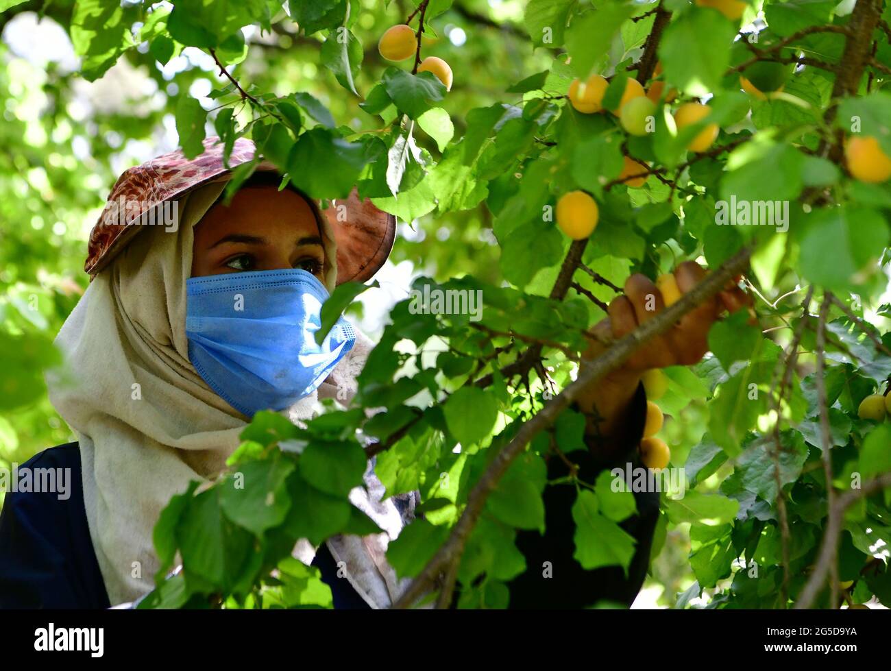 Syrian war 2021 hi-res stock photography and images - Alamy