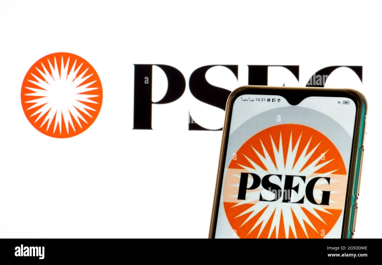 In this photo illustration, a Public Service Enterprise Group logo seen displayed on a