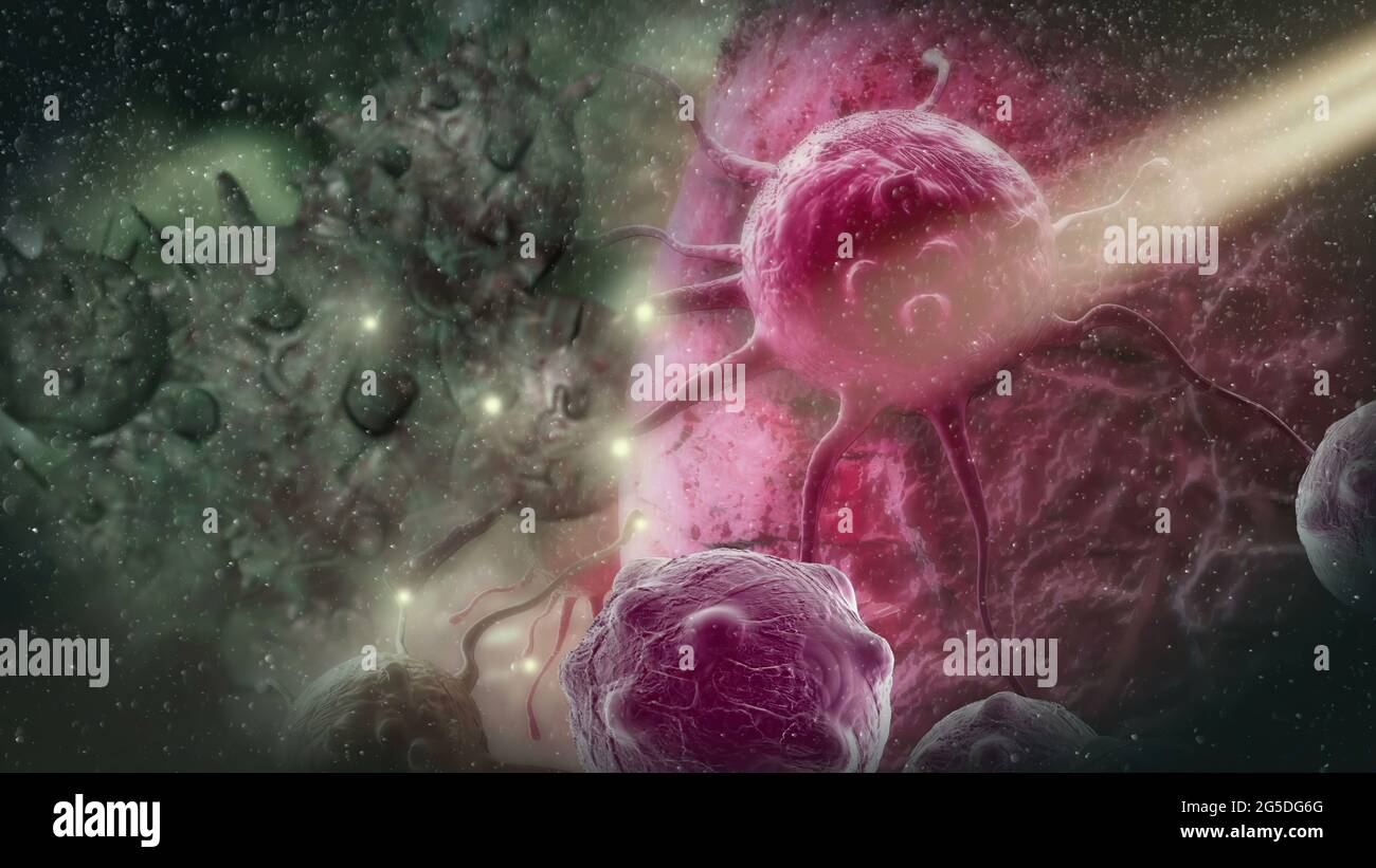 Human brain tumour cells hi-res stock photography and images - Alamy
