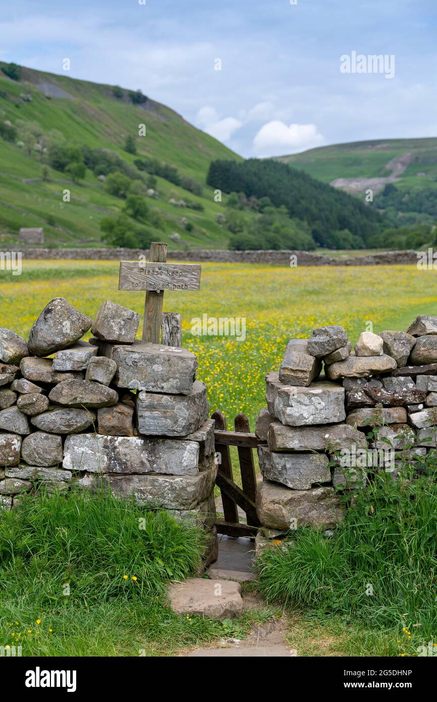 Stile through a drystone wall on a footpath through Muker wildflower meadows, Yorkshire Dales National Park, UK. Stock Photo