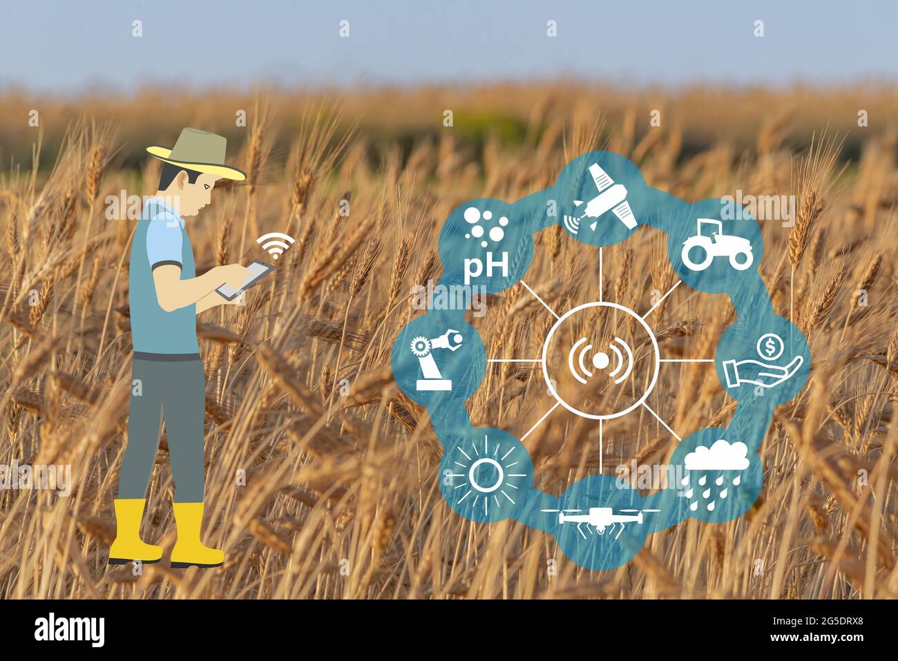 Illustration of a farmer using the phone with apps on background of a young wheat field Stock Photo
