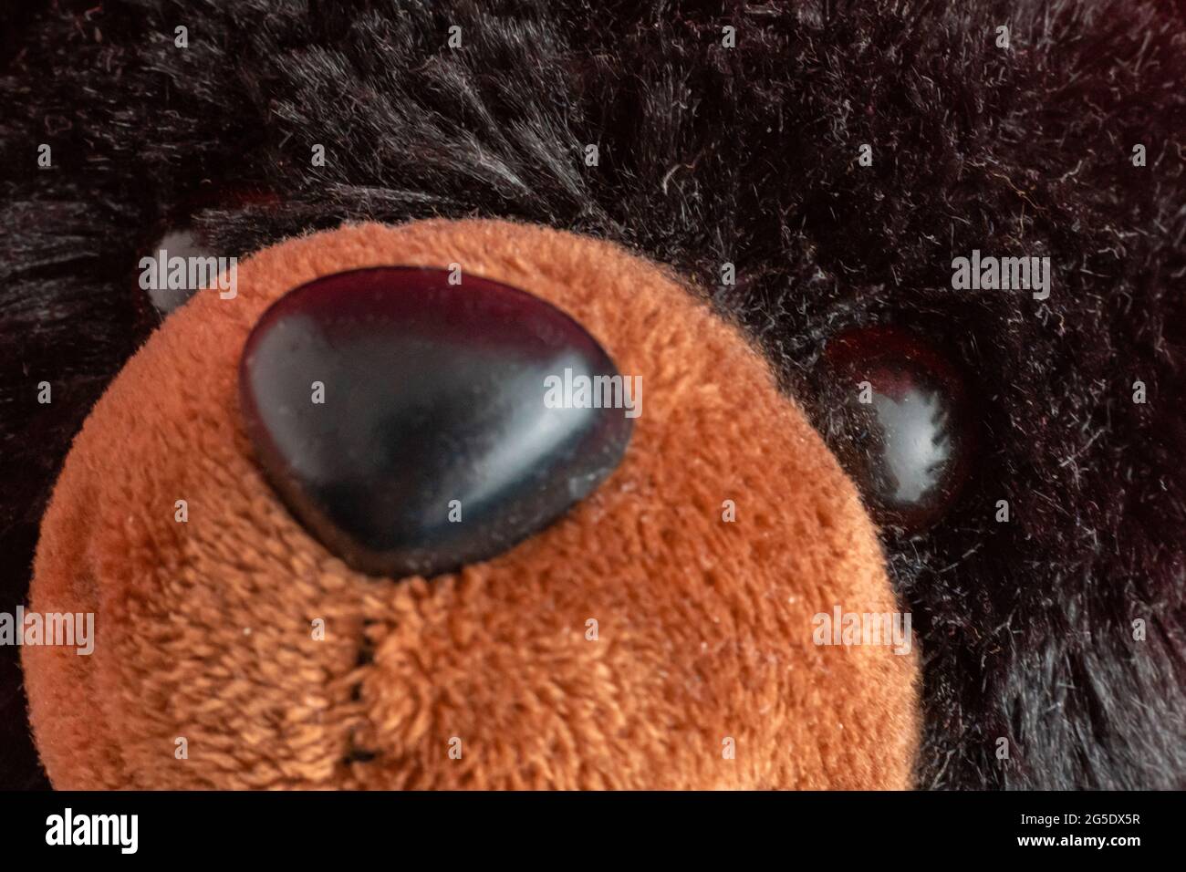 close up macro detail of teddy bear toy for kids Stock Photo - Alamy