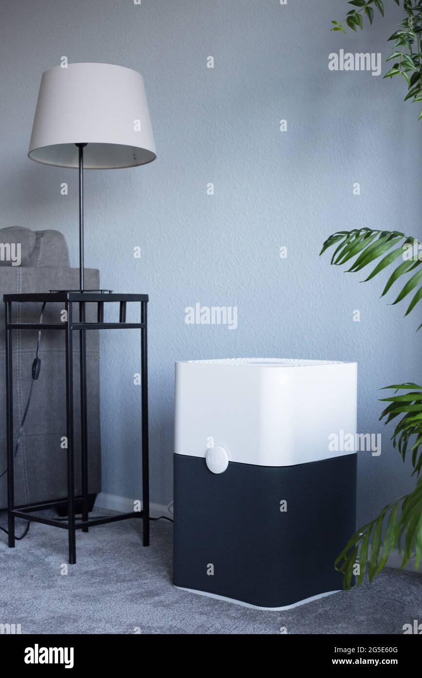 Air purifier plants hi-res stock photography and images - Alamy